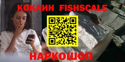 крисы Пенза