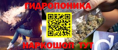 индика Первоуральск