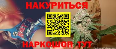 крисы Пенза