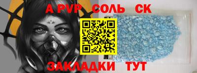 крисы Пенза